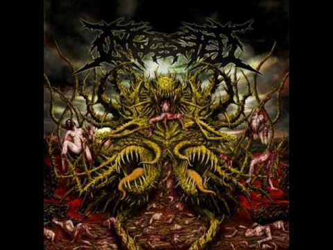 Ingested - Contorted Perception