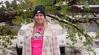 Early winter snow damage in Great Falls