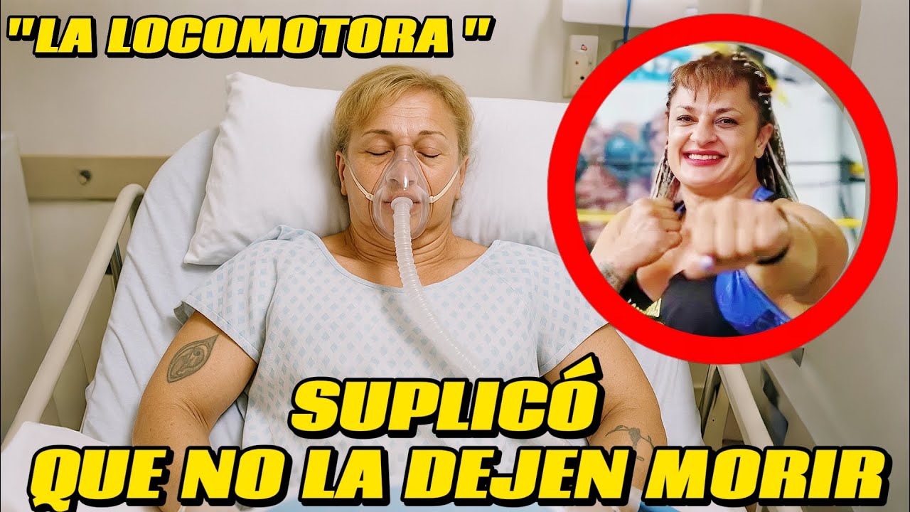 YouTube Thumbnail Downloader FULL HQ IMAGE