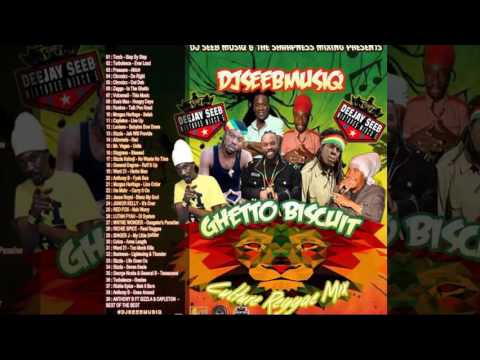DJ Seeb - Ghetto Biscuit (Reggae Mixtape 2016 Long Preview)