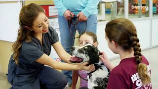 Petco Veterinary Services (Petco)