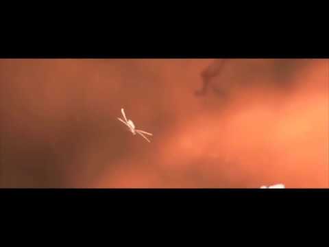 İnzar Sur & Emar Hoca   Ahım Var 2019