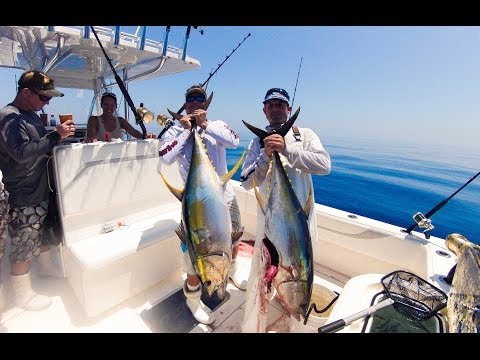 O-Sea-D TUNAS!!!!  by Jumbolicious Films....