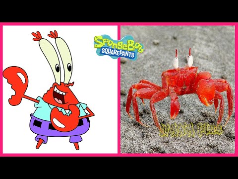 SpongeBob SquarePants In Real Life 💥 Part 2 👉@WANAPlus