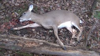 Rifle Season 2014 Extra Footage + Shirt tails - Boozer