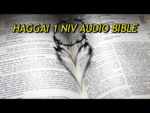 HAGGAI 1 NIV AUDIO BIBLE(with text)