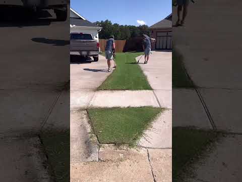 Which edger is BEST?