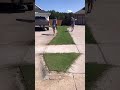 Which Edger Is BEST