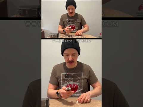 EVOLV CRICKET DEMO SESSION #cricket #review #smallbusiness