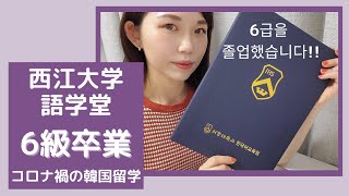 【韓国留学】西江大学語学堂 6級卒業しました！ オンライン授業やコロナ禍の韓国留学で感じたことなど