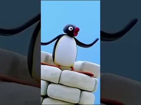 This is Going to FALL! 🐧 #Pingu