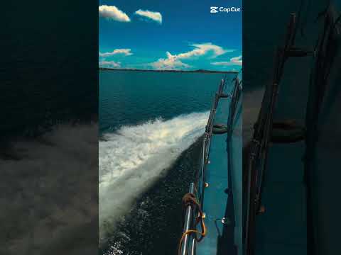 best beaches in sri lanka,mirissa beach sri lanka,mirissa beach,best beach in sri lanka,beach,