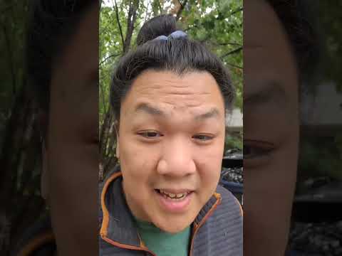 Freedom No Pull Harness Review from a Dog Trainer