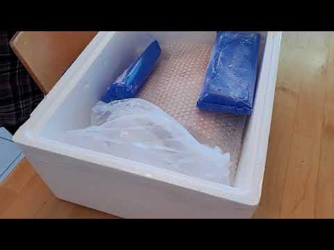 11 lbs of Japanese Wagyu beef New York steak, grade...