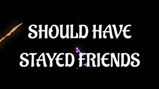 Should’ve stayed friends lyrics video