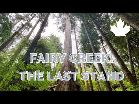 Fairy Creek: The Last Stand (Documentary Film)