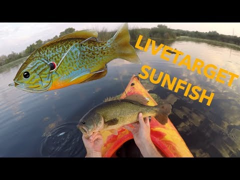 Overfladefiskeri efter bass fra kajak