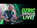 OZRIC TENTACLES — Chewier | En Directo | Sala Chango | Marzo 2026 | 4K