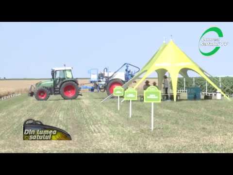 Agroexperiența Syngenta în județul Constanța