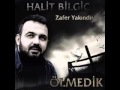 Halit Bilgiç Seni Düşlemek 2013 