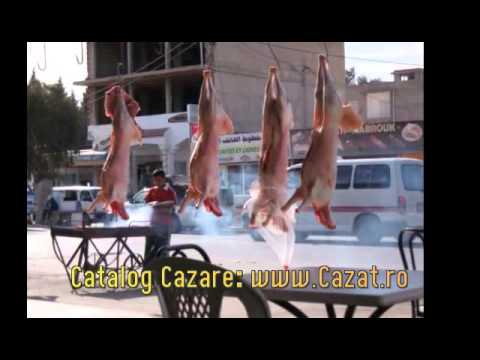 Cazare Ivanesti, Ialomita - Cazat.ro