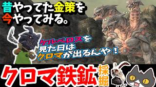 【⚔轟くFF11】昔やっていた金策晒す「クロマ鉄鉱採掘」【復帰プレイ#326】