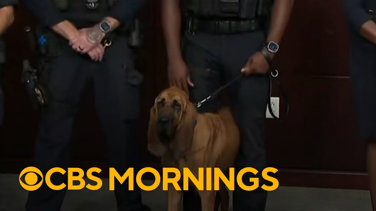 See the moment a police dog found a missing boy in the Maryland woods