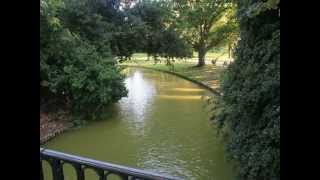 Devin Townsend (Casualties of Cool) - Pure