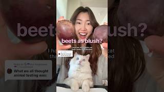 BEETROOT BLUSH?? #catsofyoutube #kitten #blush