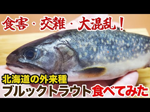 ブルックトラウトについて詳しく解説