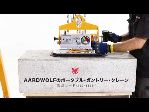 Portable Gantry Crane