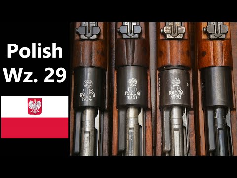 Polish Mauser Wz. 29 Short Rifle: Discussion of Historical Use and Collecting Tips