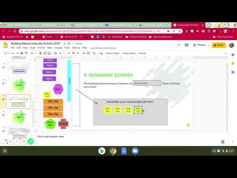 The Ultimate Macromolecule Builder For Summer Camp
