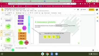 Building Macromolecules Activity Help
