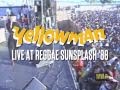Young Gifted And Yellow 2 CD DVD Set Sunsplash 1988 VP