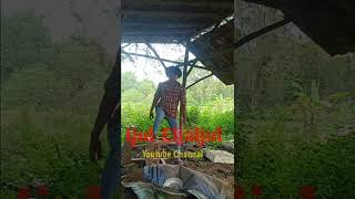 Download lagu HAI BOGER BAJINOV mp3 Download lagu HAI BOGER BAJINOV mp3