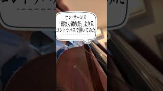 Download lagu コントラバス弓弾き練習2日目 サン=サーンス「動物の謝肉祭」より象#コントラバス #classicalmusic #music #弾いてみた  mp3
