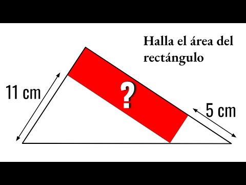 ¿PUEDES HALLAR EL ÁREA DEL RECTÁNGULO? Geometría Básica
