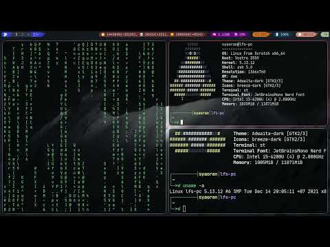 LFS Demo video