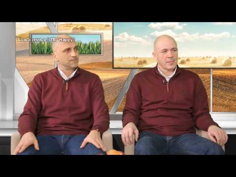 BASF napravio paket za zastitu psenice  - da li je bolji Delan ili Delan Pro