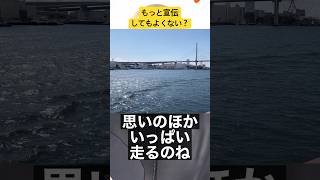 海遊館より印象に残ってるサンタマリア号 #大阪 #shorts #観光