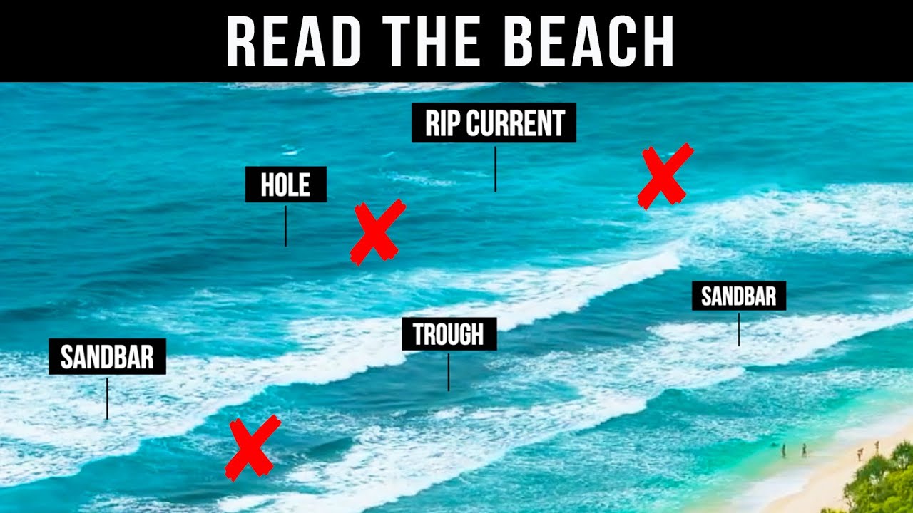 Garmin vs Navionics: Best Navigation for Beach Fishing! 🎣🏖️