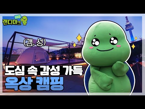 도심 속 남산뷰 감성캠핑! 랜디가 옥상쓸래 직접 써봄!