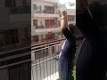 Jai Surya Bhagwan Trending Viral Shorts