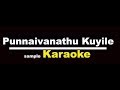 Punnaivanathu Kuyile Karaoke Tamil Muthukalai