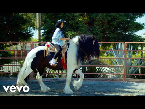 Por Tus Caprichos [Video Oficial] Los Rayos de Oaxaca 2023