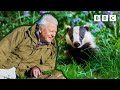 Wild Isles 🦋🍄 | Trailer - BBC