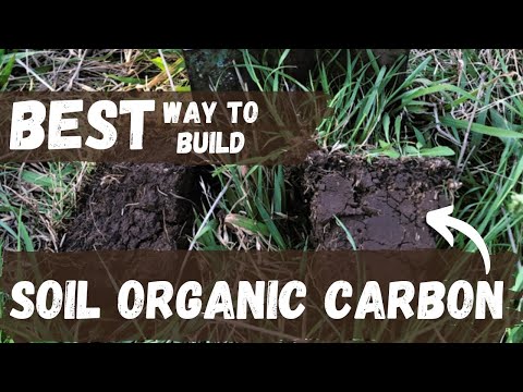 The FASTEST way to built Soil Organic Carbon | Liquid Carbon Pathway | Regenerative Agriculture