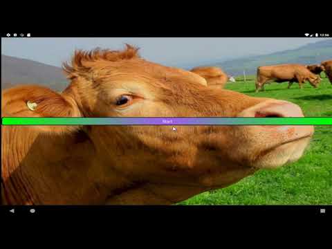 Math Ninja Vs Multiplication S Video