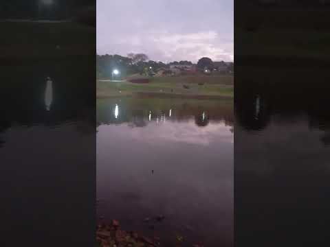 vídeo do lago municipal de céu azul parana